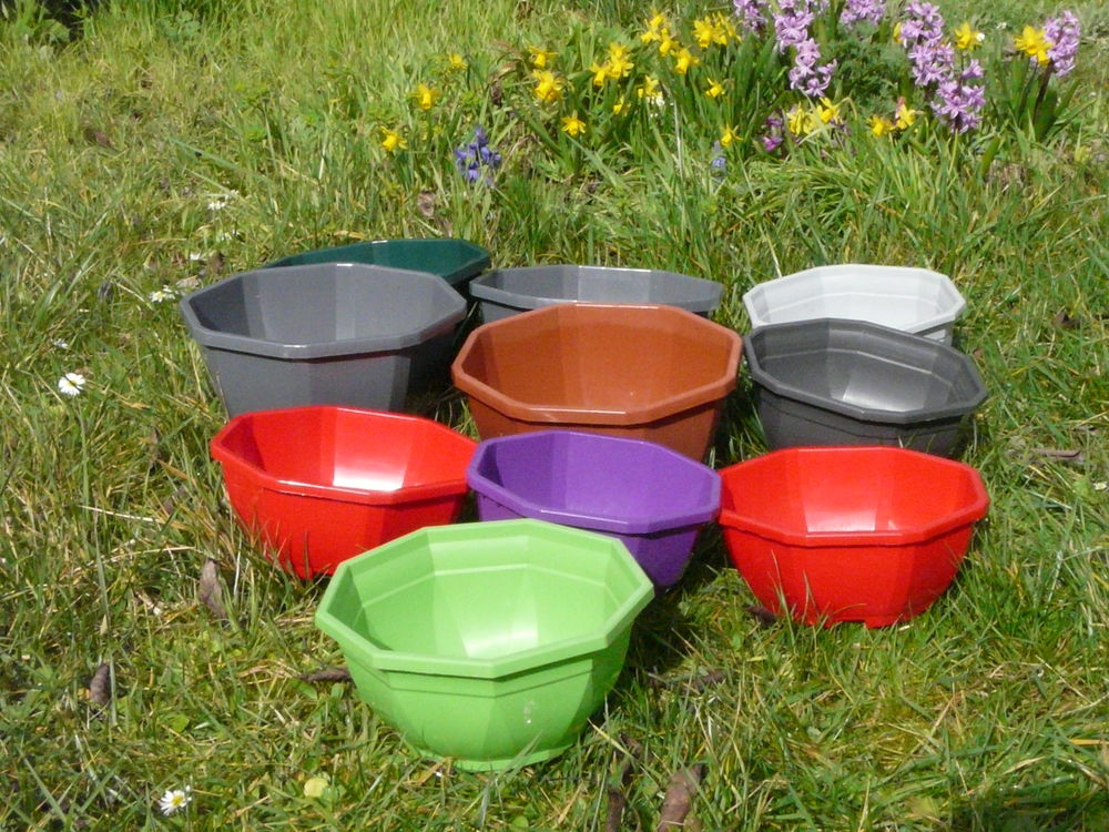 10 coupes octogonales diff�rentes couleurs 2 Caen (14)