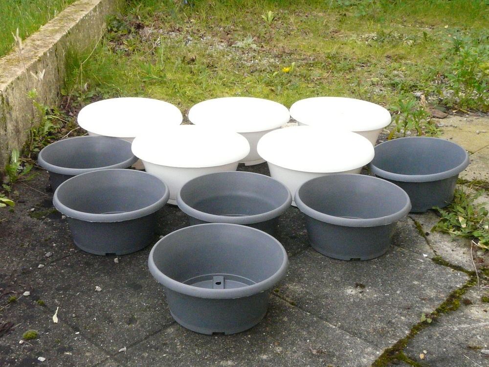 11 coupes rondes : blanche ou grise 2 Caen (14)