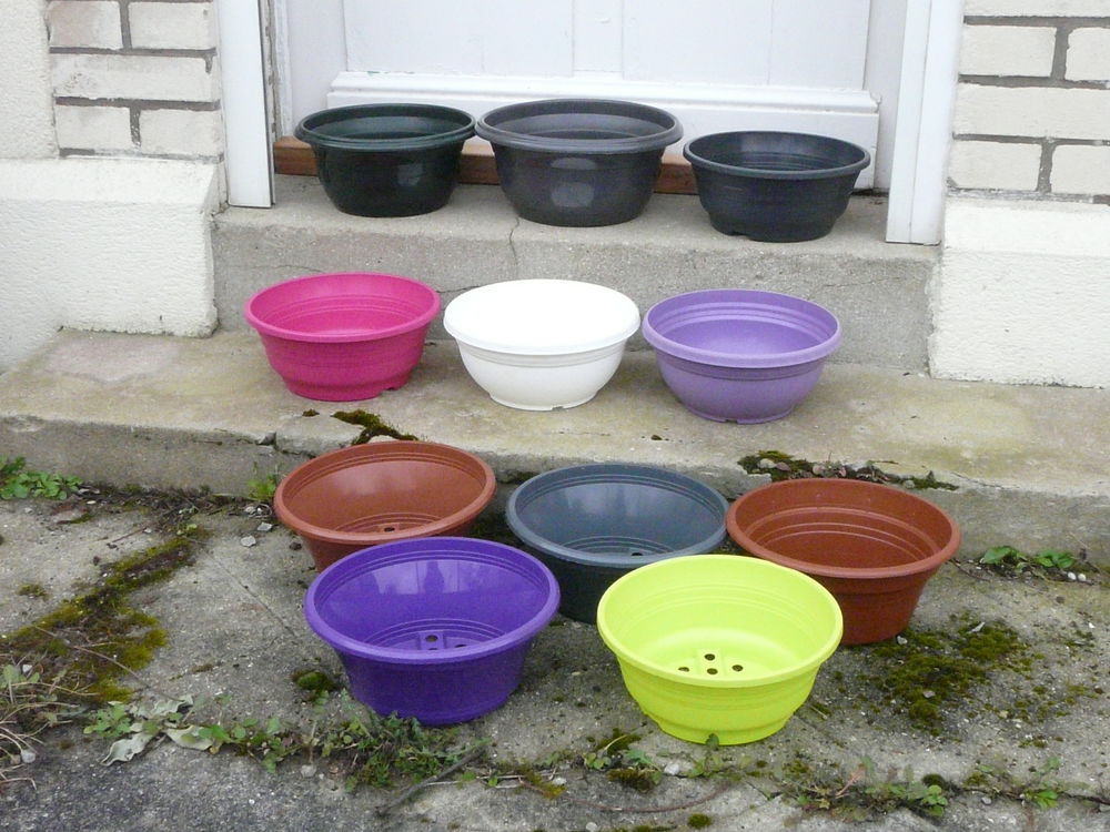 10 coupes rondes + 1 gratuite 2 Caen (14)