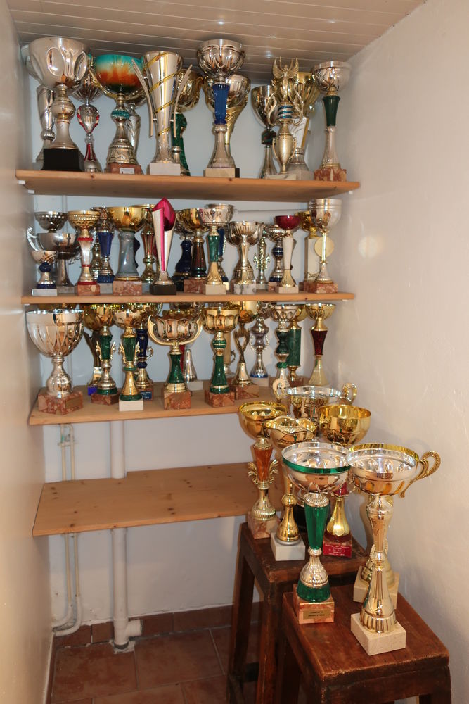 Lot de coupes sportives 50 Fouras (17)