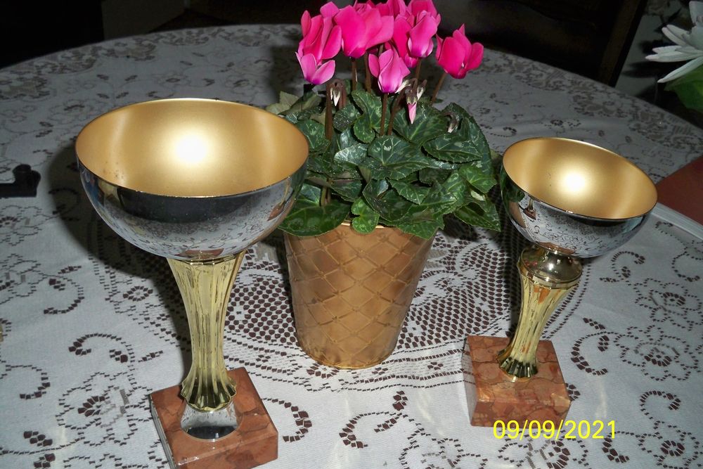 COUPES SPORTIVES 20 Sucy-en-Brie (94)