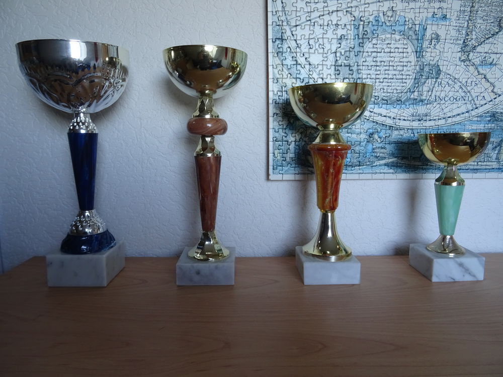 4 coupes 8 Tr�muson (22)