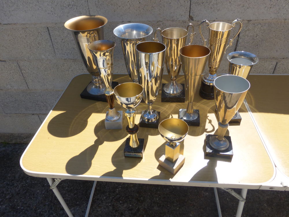 COUPES 43 Montbartier (82)