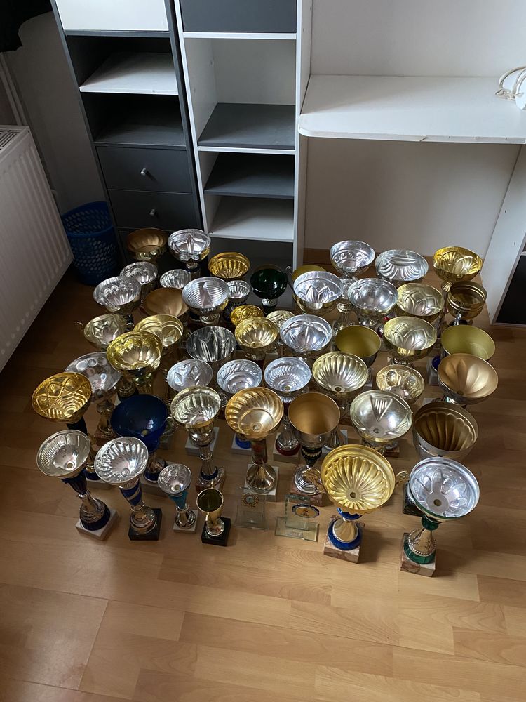 Lot de coupes 120 Toul (54)