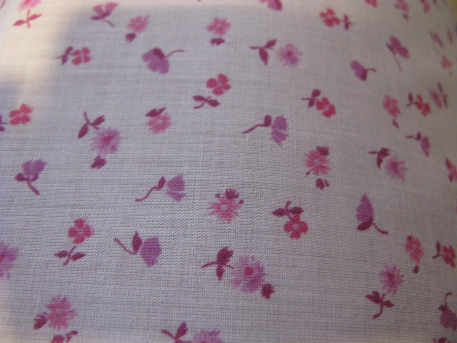 coupon de coton neuf 20 �taples (62)