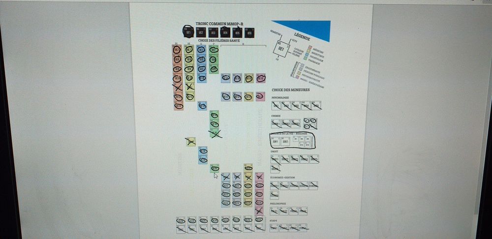 cours 1ere ann�e m�decine PASS 2020 2021 30 � 30 B�gles (33)