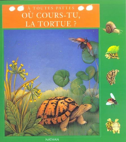 Ou cours tu tortue 2 Soisy-sur-Seine (91)
