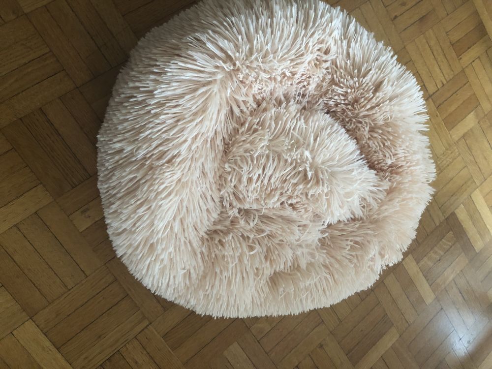 coussin chien 4 Saint-Maur-des-Foss�s (94)