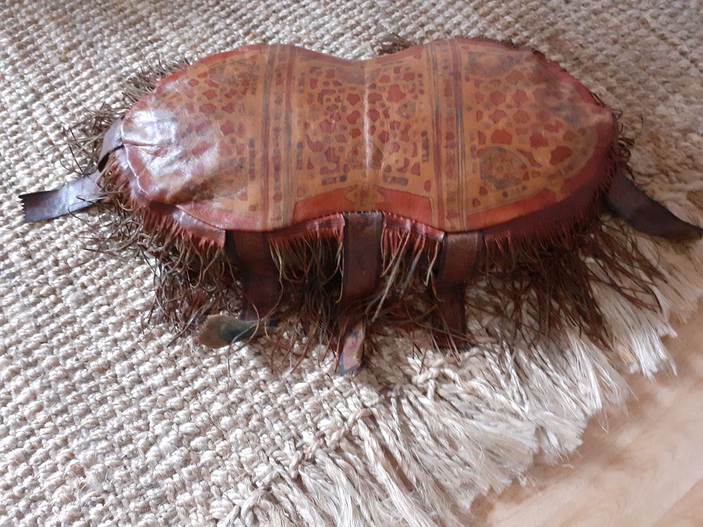 Coussin cuir 25 Agen (47)