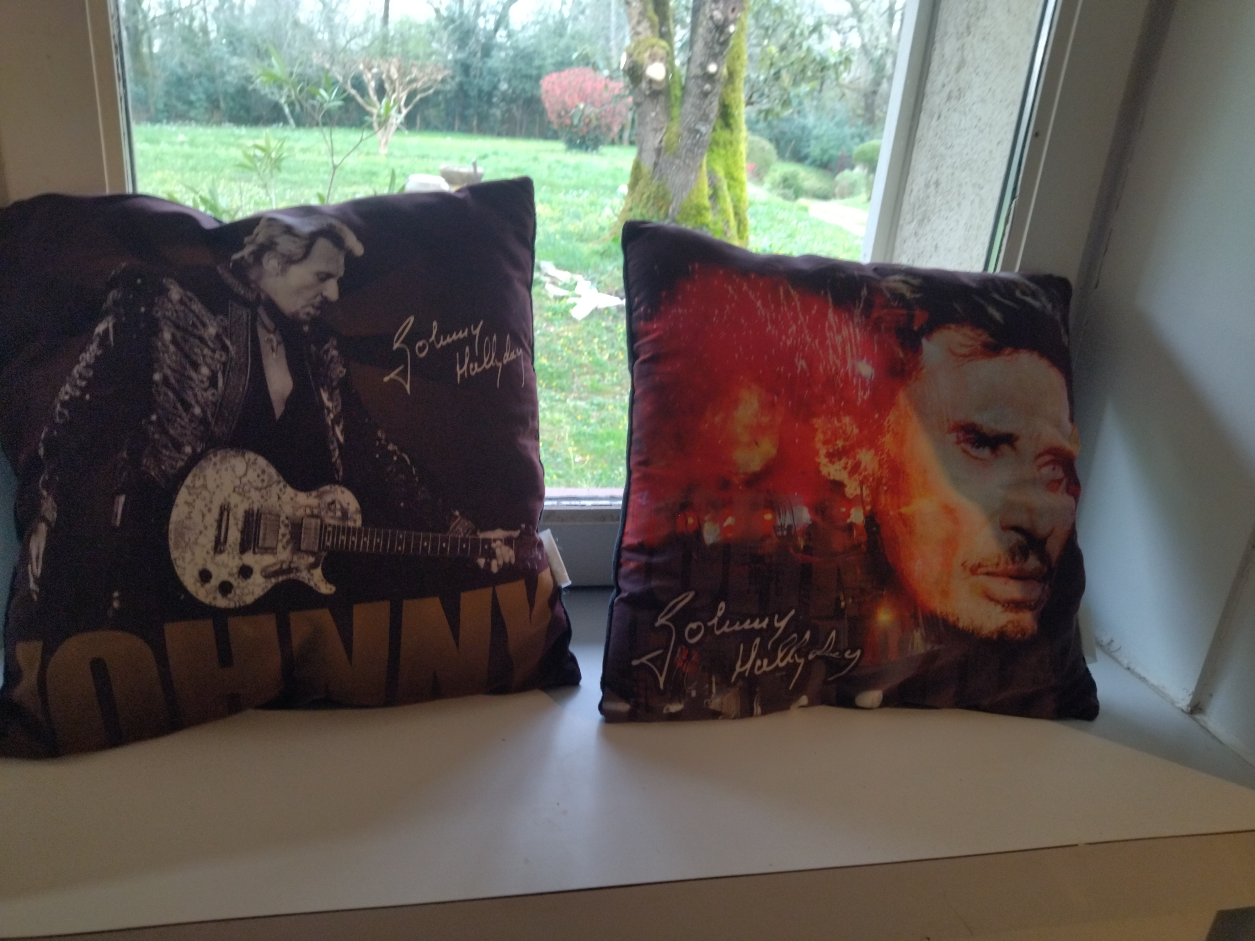 Coussin johnny Halliday 3 Coutras (33)