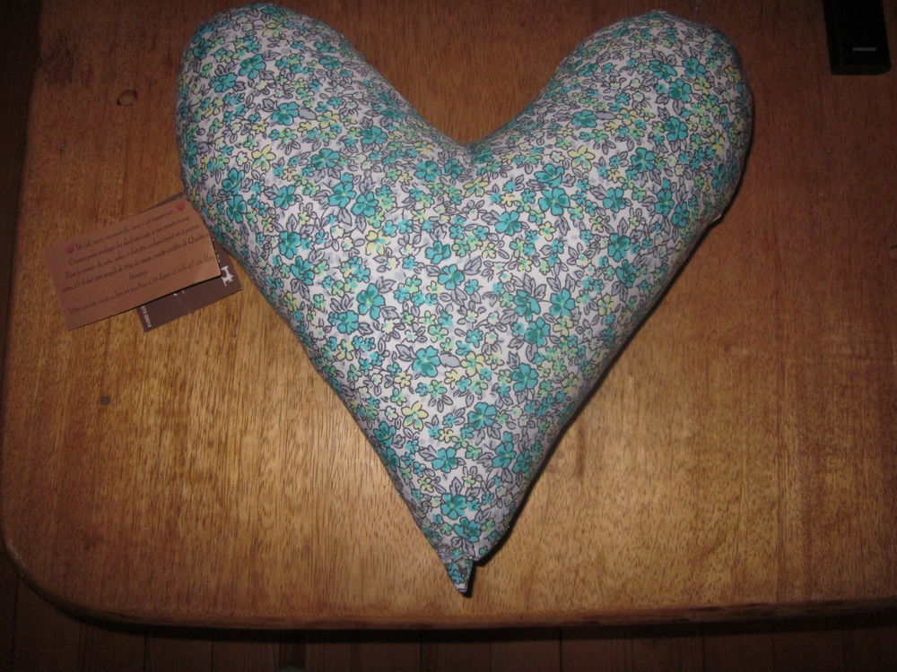 coussin c?ur post mastectomie . 20 Saint-�tienne (42)