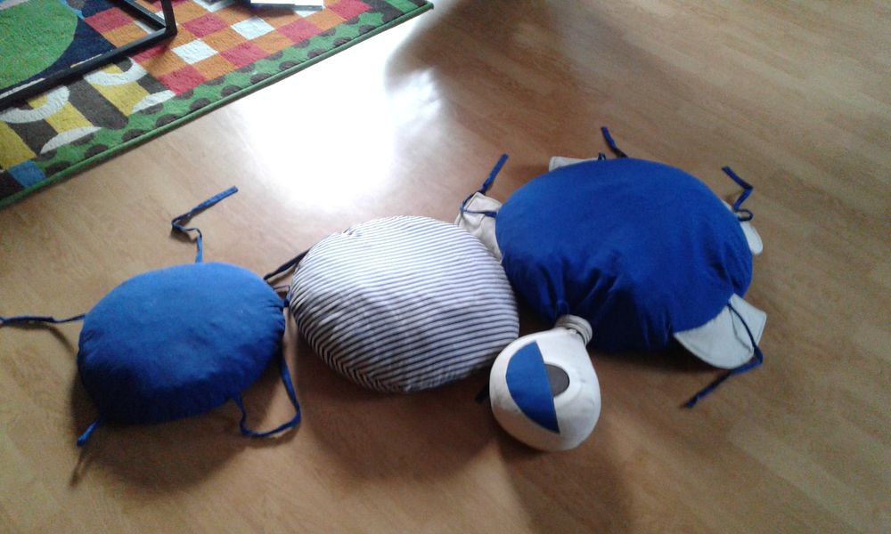 coussin 20 Notre-Dame-de-Cenilly (50)