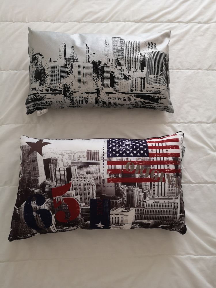 COUSSIN 20 Buch�res (10)