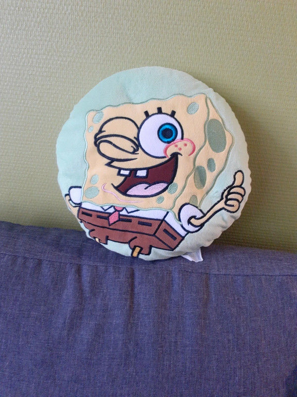 Coussin 10 Ch�nehutte-Tr�ves-Cunault (49)