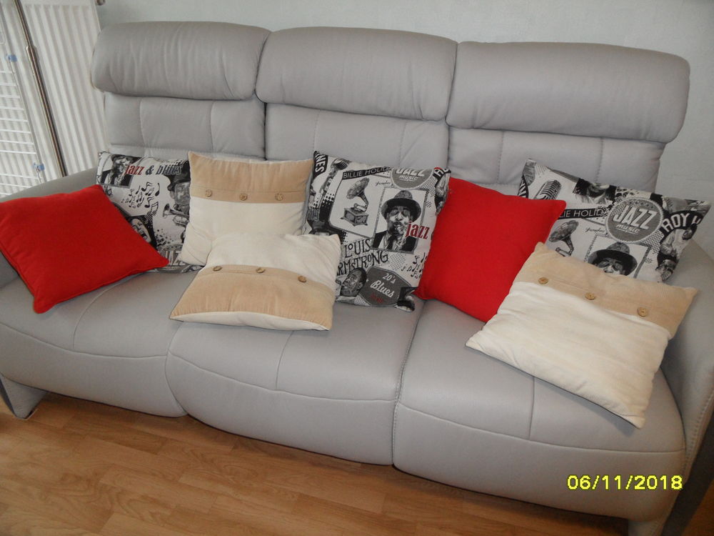 coussins divers 20 Angers (49)