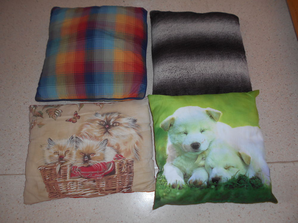 coussins 2 �chenoz-la-M�line (70)