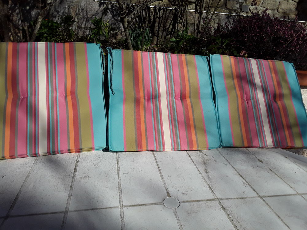 Coussins 20 Dun (09)