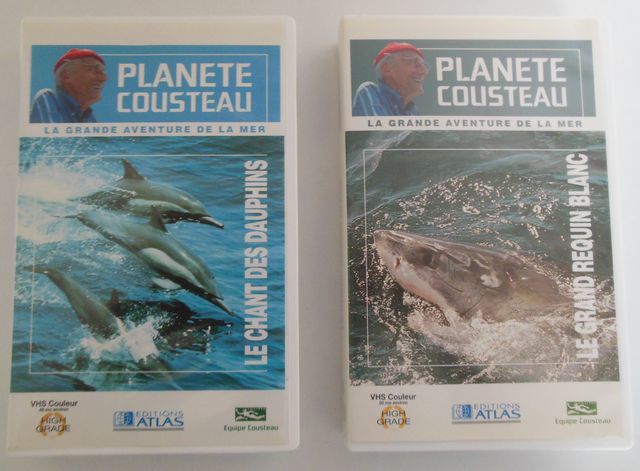 K7 cousteau 0 Gap (05)