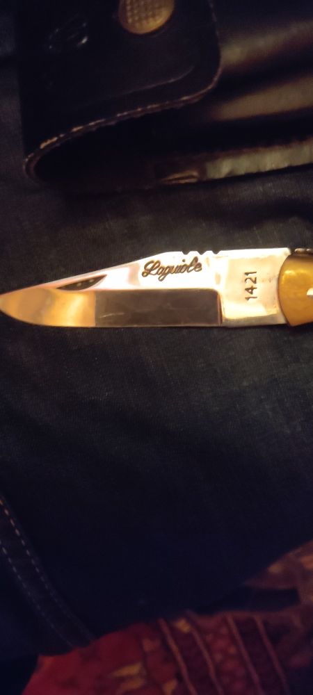 Couteau de chasse Léopard 50 Pont-l'Abbé (29)