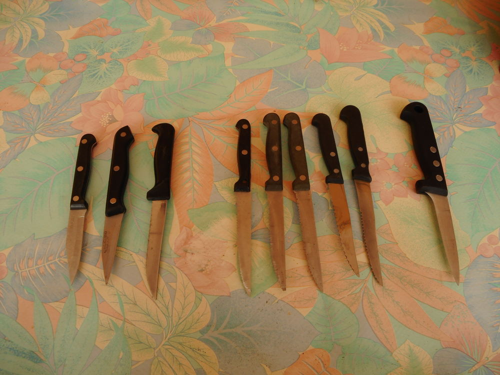 LOT DE 9 COUTEAUX DE CUISINE DENTELES 10 Mazan (84)