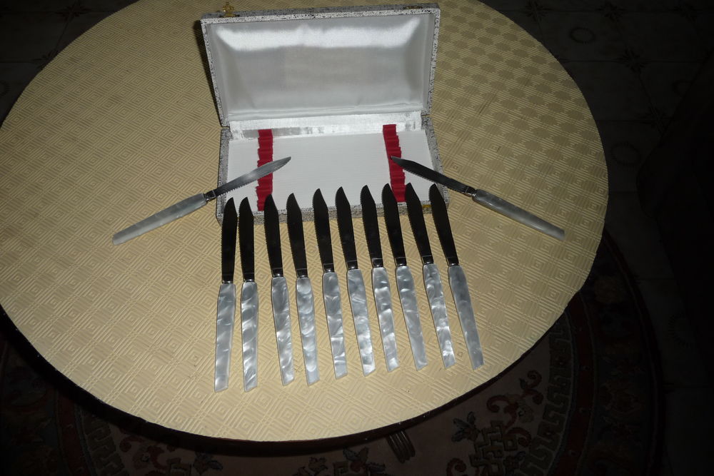 12 couteaux pour couverts en inox dans �crin 9 Saint-Fons (69)