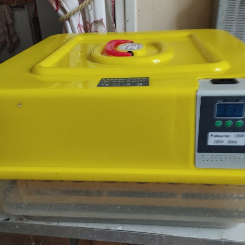 couveuse automatique 90 Laragne-Mont�glin (05)