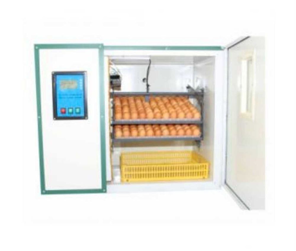 couveuse oeuf 250 Sens (89)