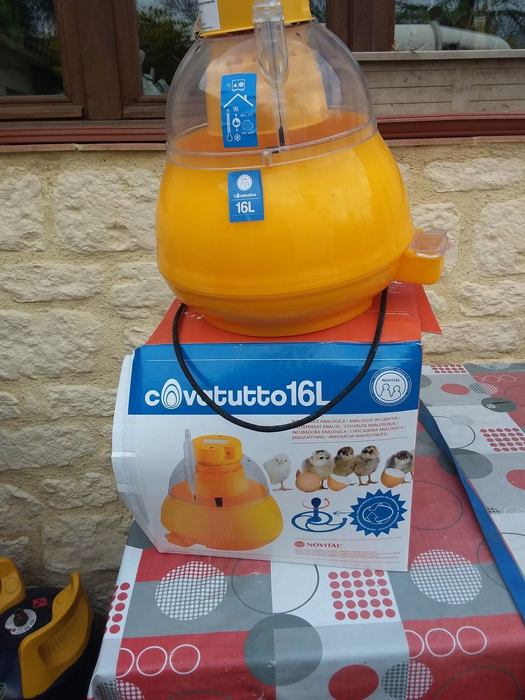 couveuse 40 D�gagnac (46)