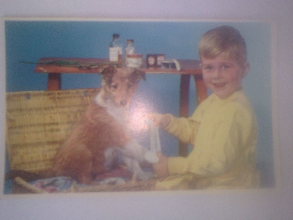 CPSM V�t�rinaire en herbe Enfant Chien M�dicaments Oberthur 0 N�rac (47)