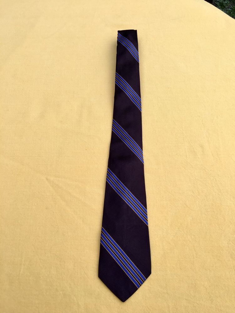 Cravate 100% soie, �tat neuf 10 L'Isle-Jourdain (32)