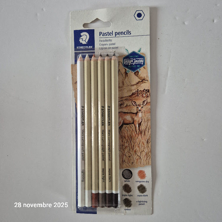 crayons pastel Staedtler Lumograph pastel sont id�aux pour d 9 Saumur (49)