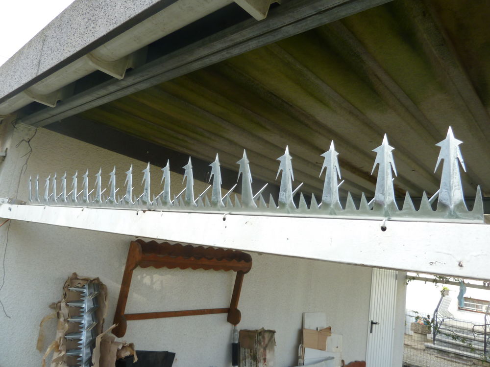 CRETE DEFENSIVE EN  INOX 50 Sausheim (68)