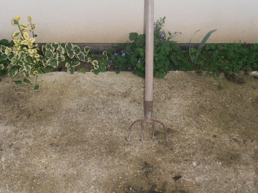 croc fumier 10 Rethel (08)