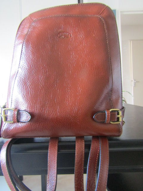 sac en cuir femme 50 N�mes (30)