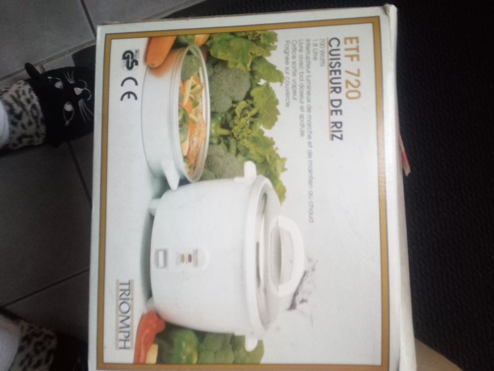 cuiseur de riz 15 Saint-Hilaire-du-Maine (53)