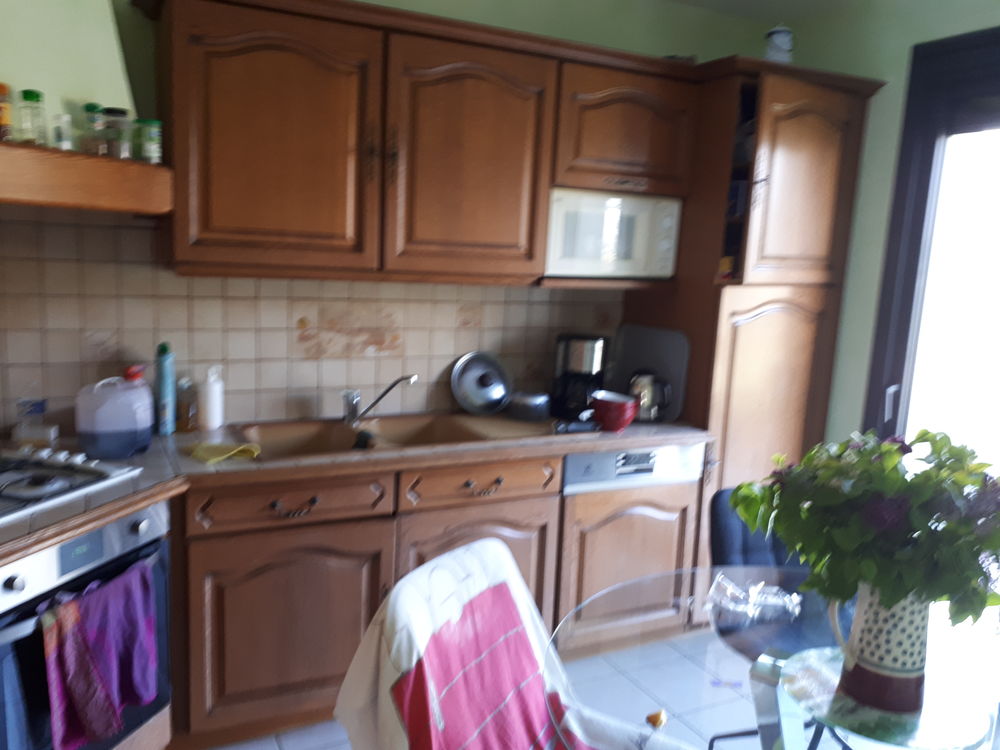 cuisine Schmidt 500 Cassaniouze (15)