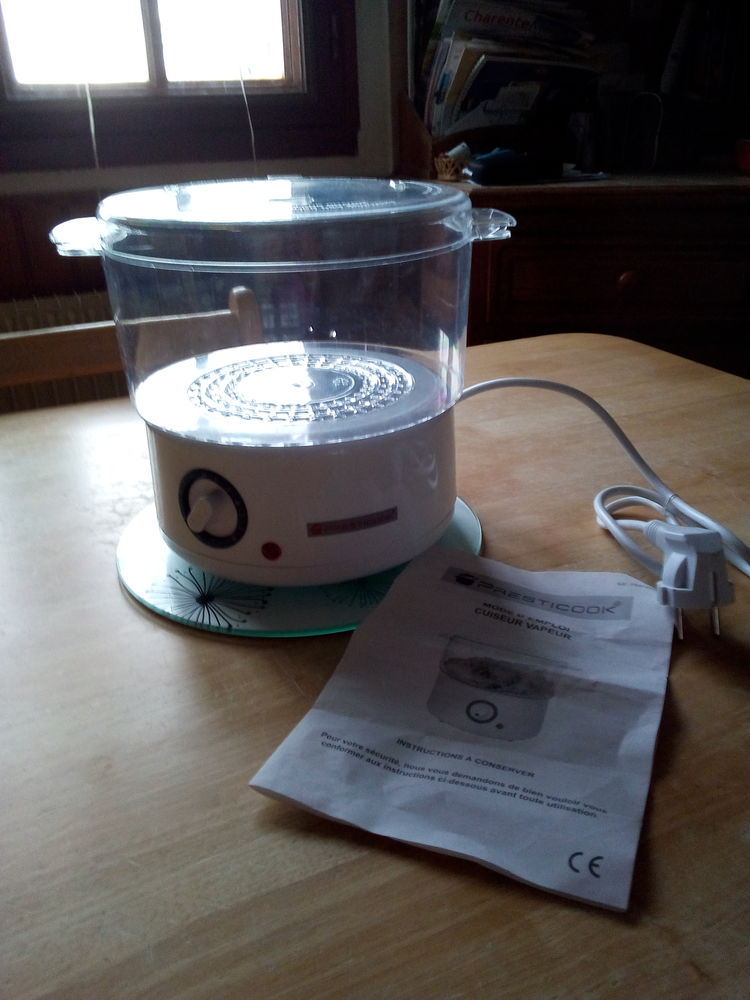 cuit vapeur �lectrique 8 Chavenat (16)