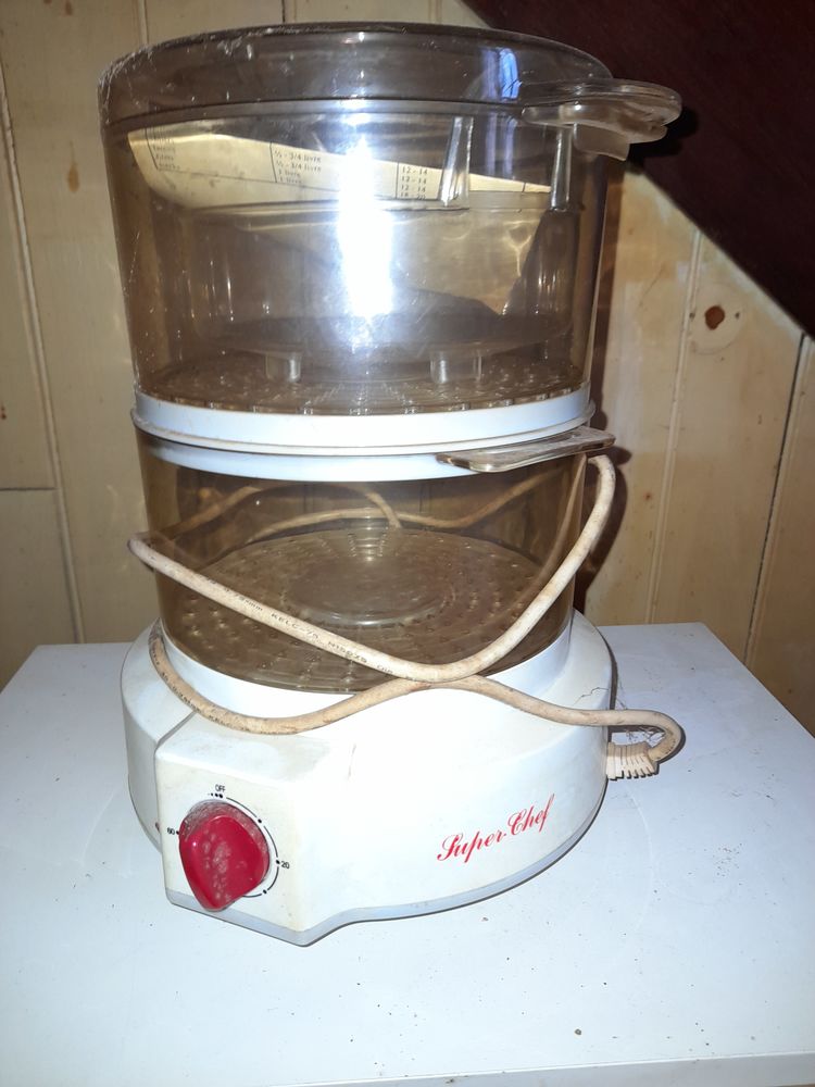 cuit vapeur �lectrique 10 Guipry (35)