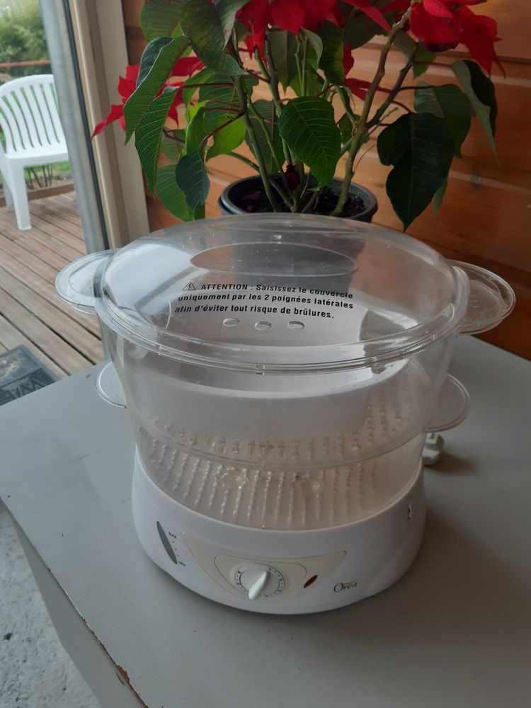 Cuit vapeur marque Orva . 10 Marcellus (47)