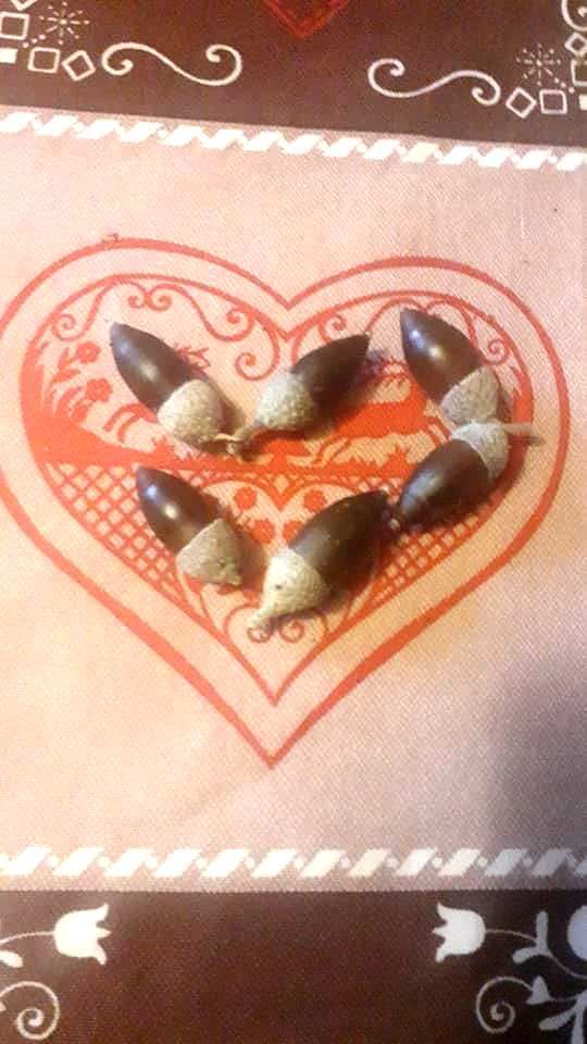 Cultivez l'Essence de la Nature : Lot de 5 Glands de Ch�nes 6 Le Chambon-Feugerolles (42)