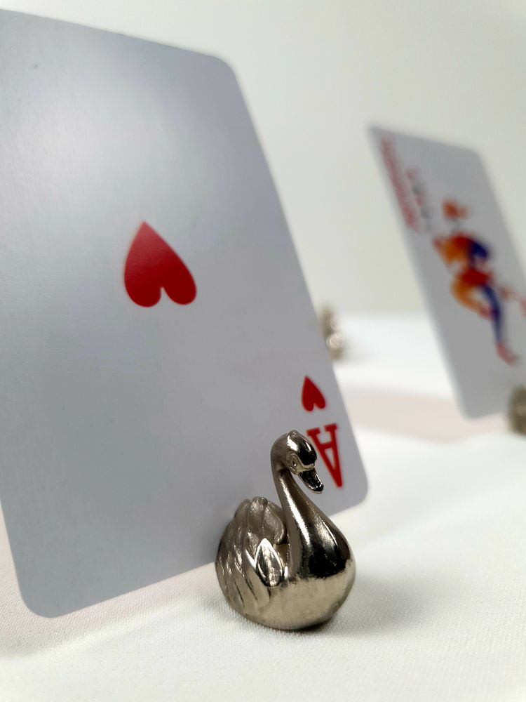 25 cygnes porte-nom 50 Choisy-le-Roi (94)