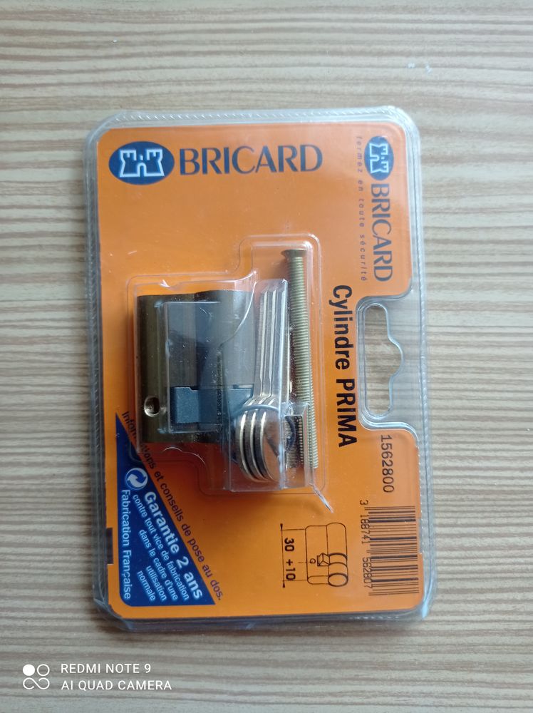 Cylindre porte Bricard 10 Orvault (44)