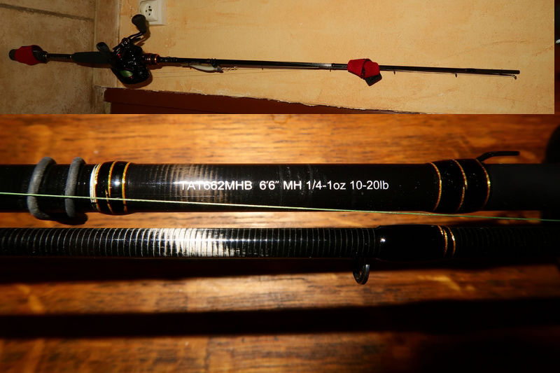 Daiwa tatula ensemble casting 250 Garchizy (58)