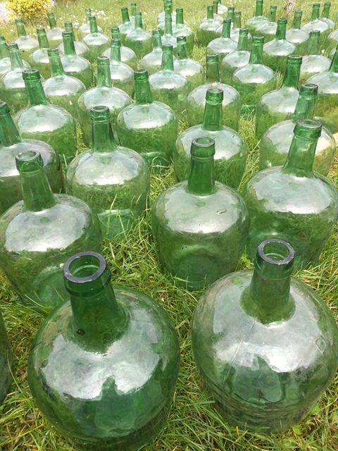 DAME-JEANNE 10 Montauban (82)