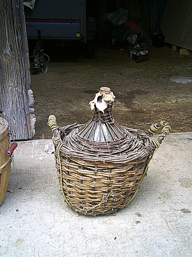 Dame Jeanne 25 Saint-Blaise-du-Buis (38)