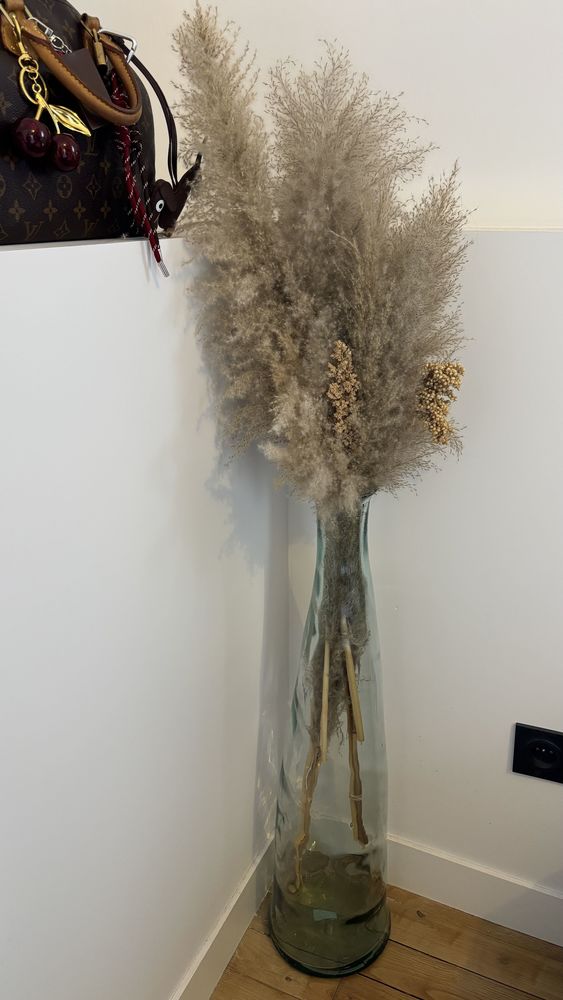 Dame Jeanne 25 Limoges (87)