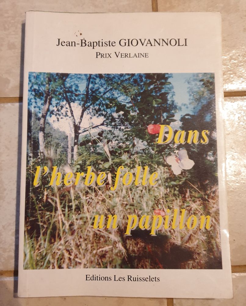 Dans l'herbe folle, un papillon. Jean Baptiste Giovannoli -  3 Marseille 9 (13)