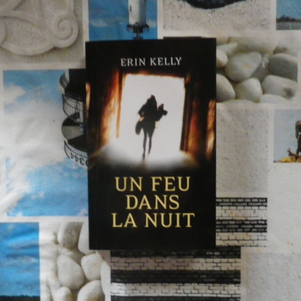 UN FEU DANS LA NUIT de Erin KELLY France Loisirs 5 Bubry (56)