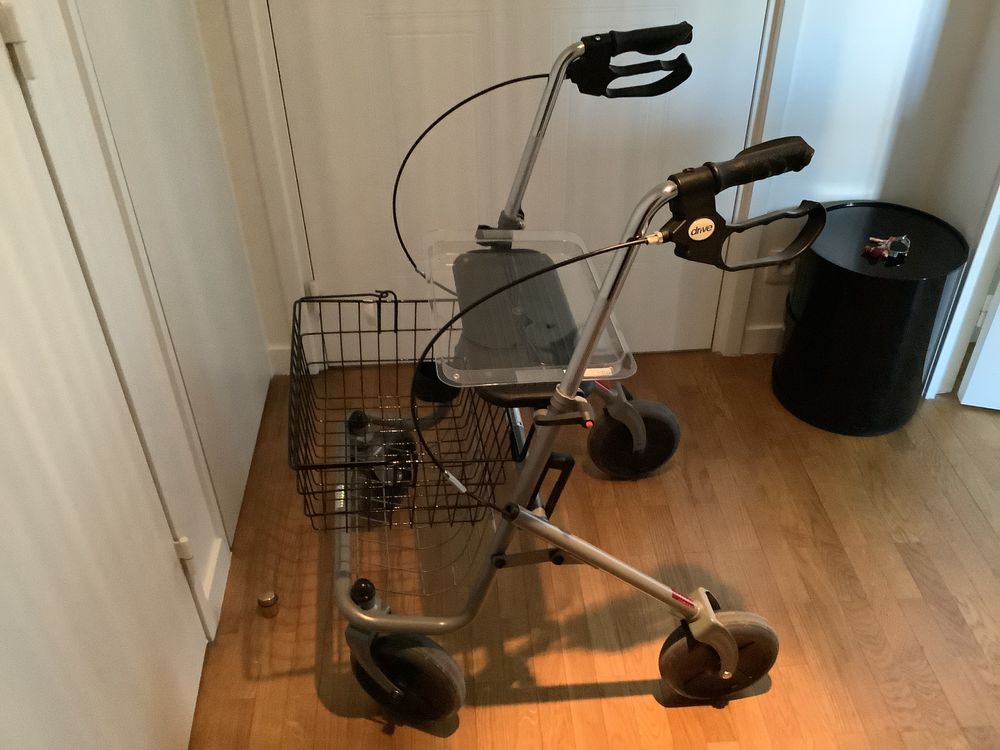 d�ambulateur � 4 roues 60 Asni�res-sur-Seine (92)