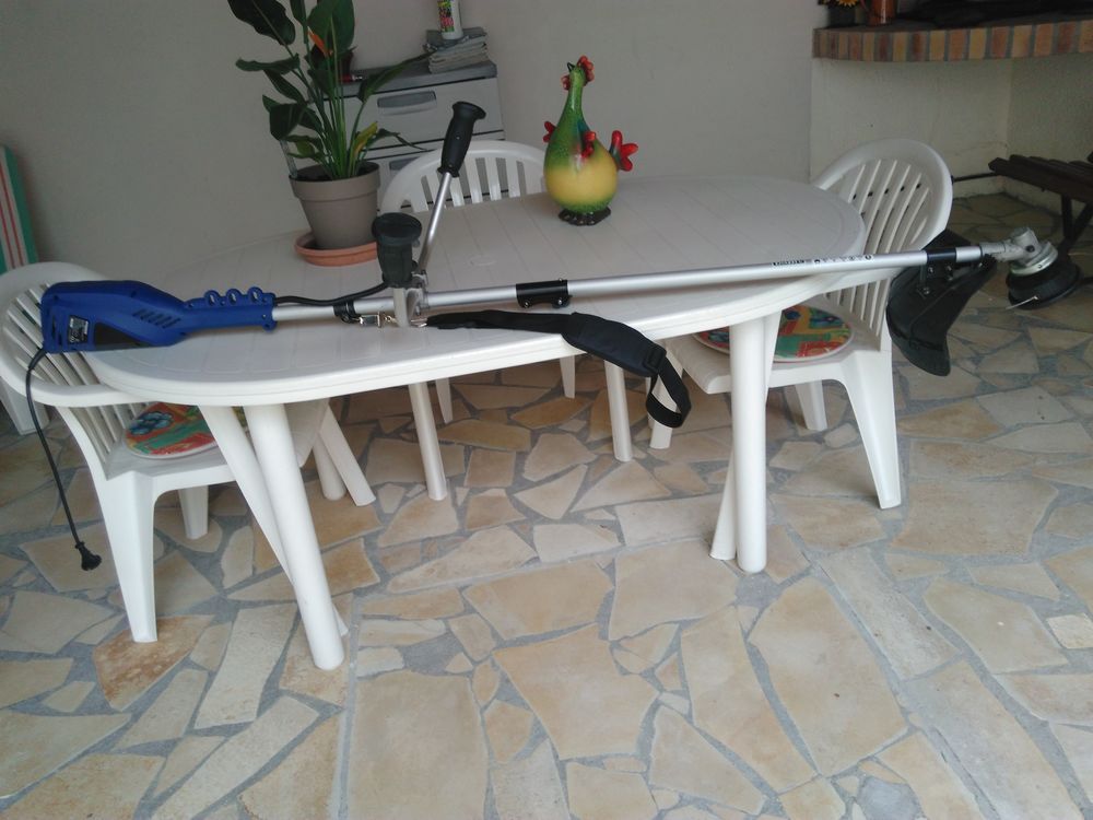 debroussailleur 60 Gent� (16)